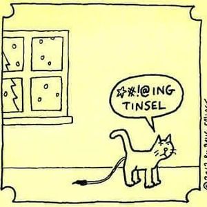 Meet your Posher, Alyson